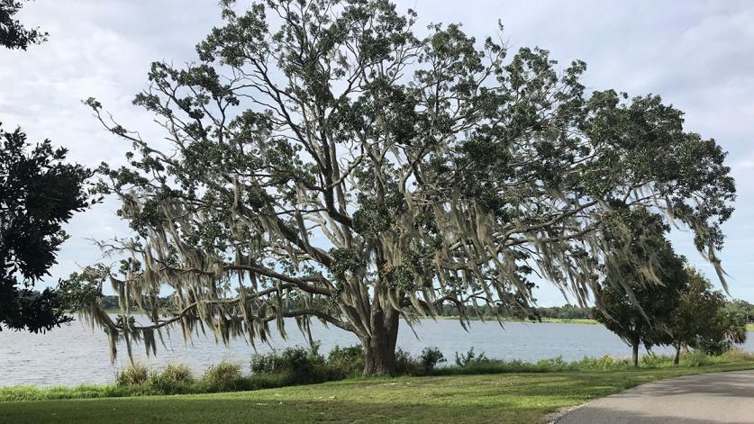 Lake Wailes Park, Lake Wales, FL