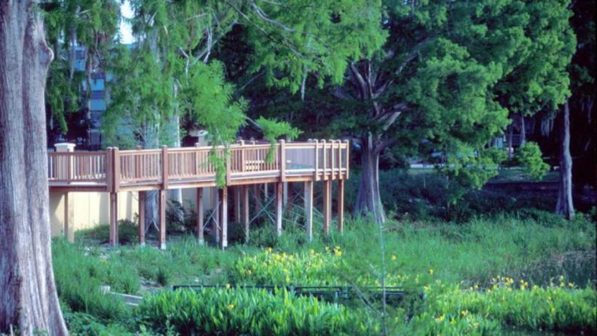 Carol R Johnson The Cultural Landscape Foundation