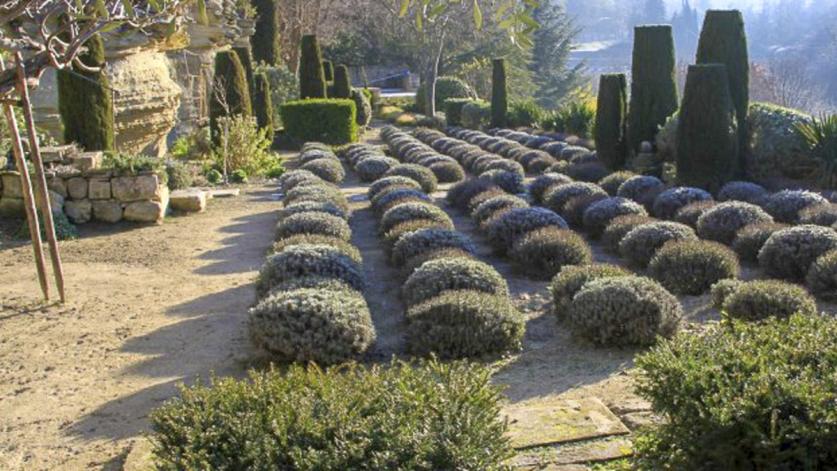 Jardin de la Louve Botanical Garden, Bonnieux, FR