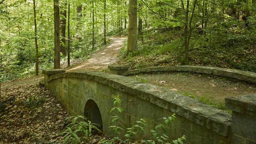 Deepdene Park at Druid Hills, Atlanta, GA