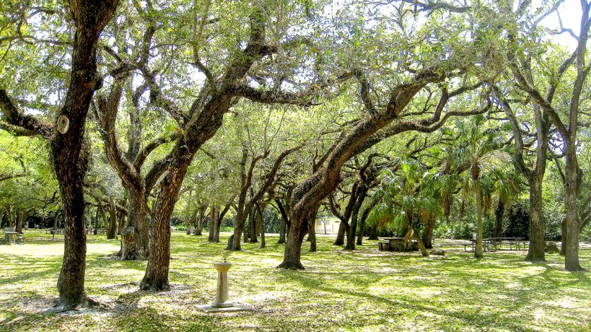 Greynolds Park Faces New Threat | The Cultural Landscape Foundation