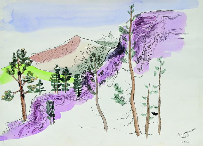 One of the recently discovered Lawrence Halprin drawings "San Joaquin MT Aug 50"