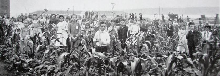 The Children’s Farm Gardens at DeWitt Clinton Park. Photograph from The New York City Department of Parks, Report for the year 1902.