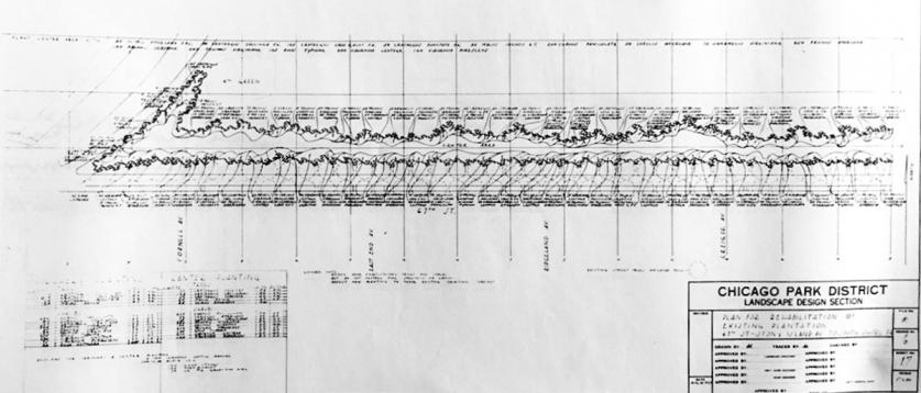 Planting Plan by Alfred Caldwell, Jackson Park, Chicago, IL