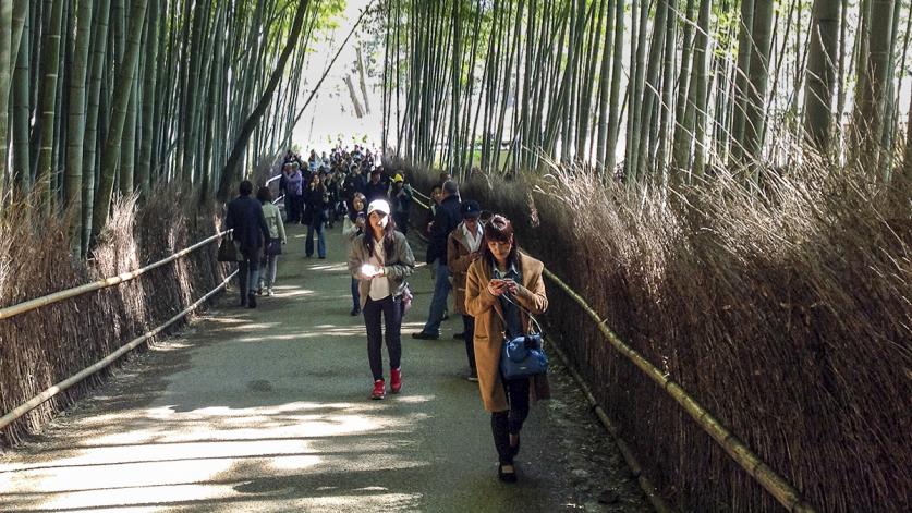 Sagano Bamboo Path