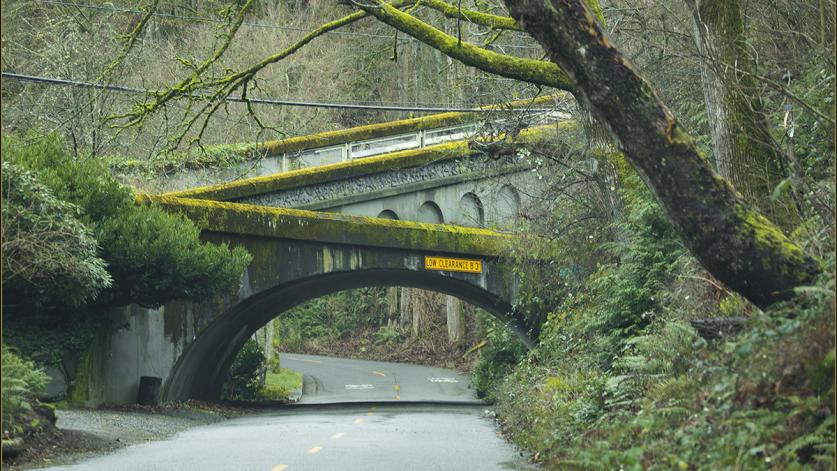 Lake Washington Boulevard, Seattle, WA