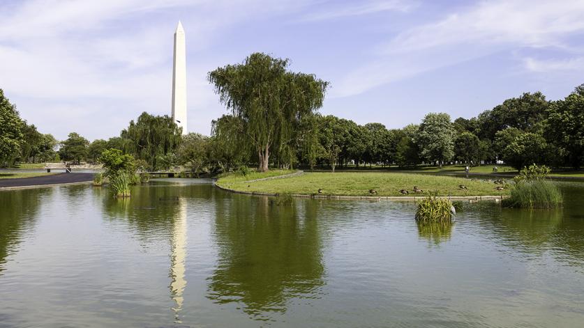 Constitution Gardens, Washington, D.C.