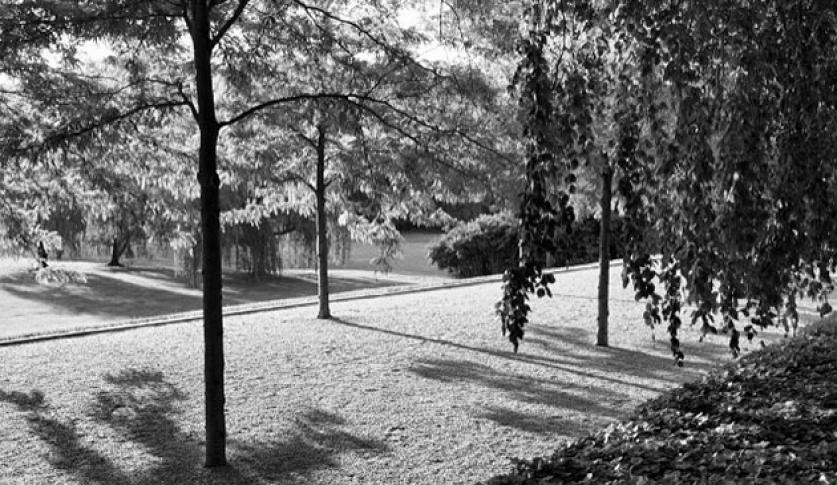 The Miller House, Columbus, IN, designed by Dan Kiley