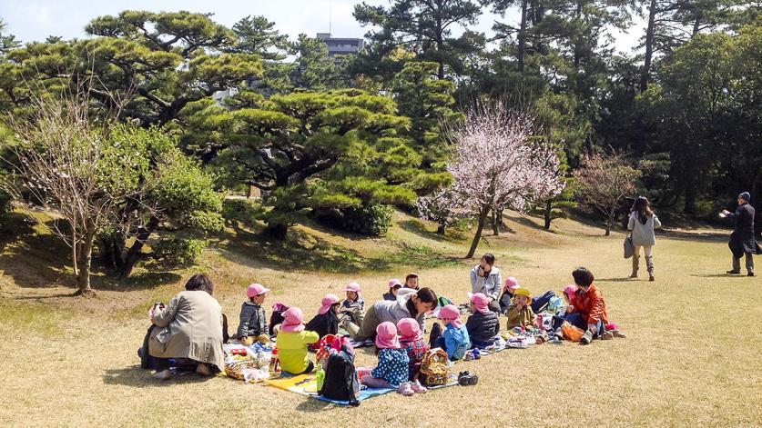 Japanese schoolchildren enjoying a picnic under the cherry blossoms at Ritsurin