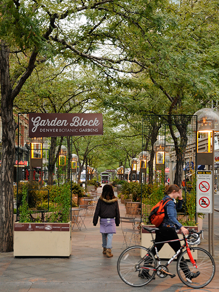 16th Street Mall The Cultural Landscape Foundation