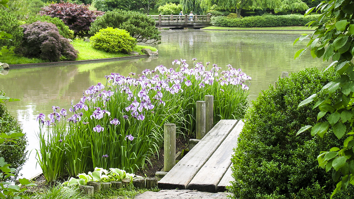 Missouri Botanical Garden Japanese Garden The Cultural Landscape