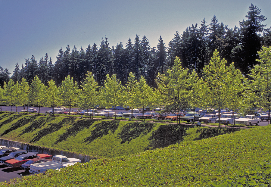 Weyerhaeuser International Headquarters The Cultural Landscape Foundation