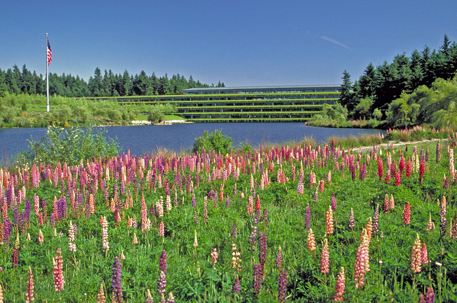 Weyerhaeuser International Headquarters  The Cultural Landscape Foundation