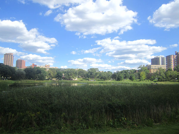 Loring Park | The Cultural Landscape Foundation