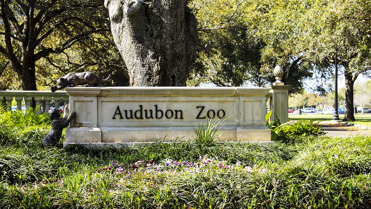 audubon zoo group tickets