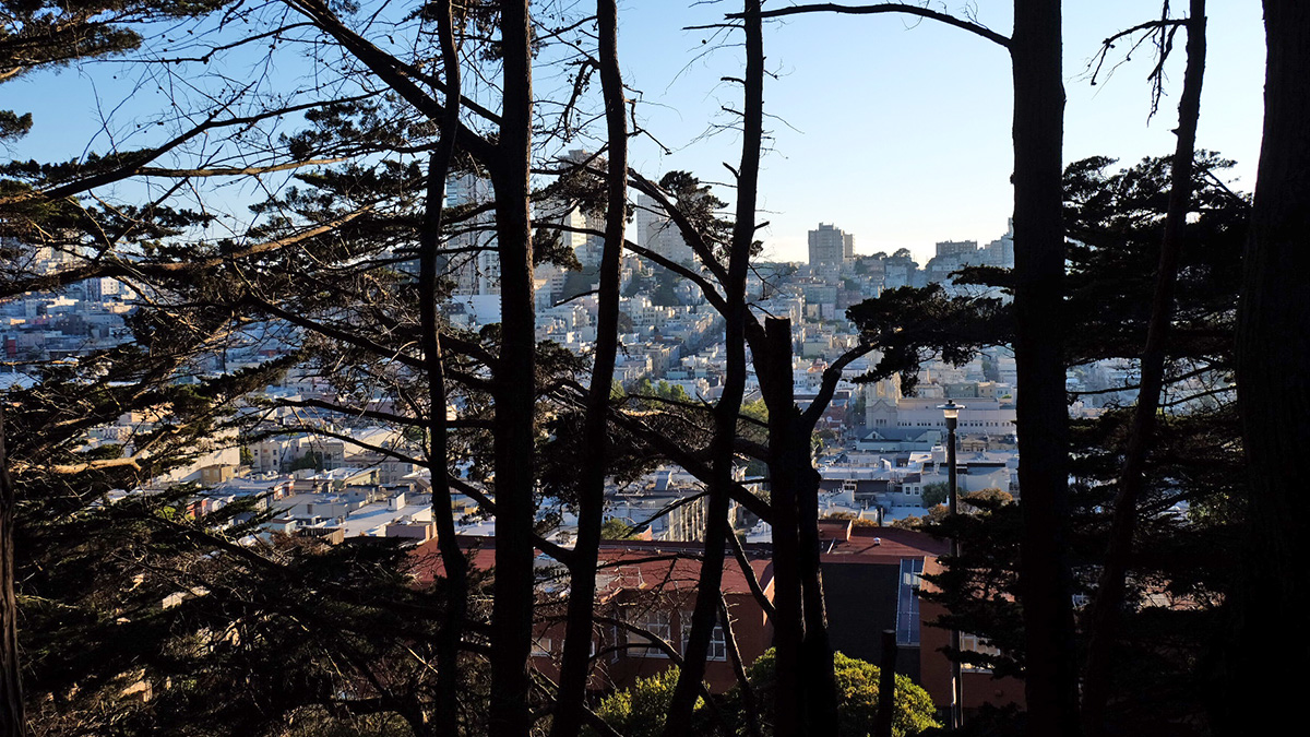 Pioneer Park | The Cultural Landscape Foundation