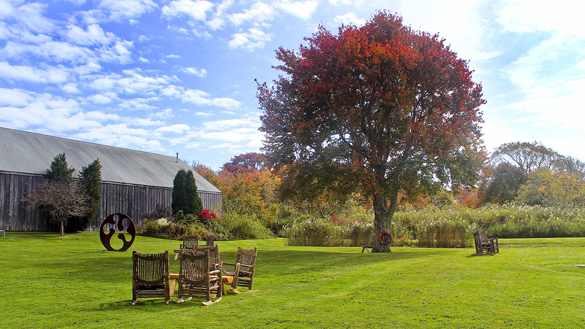 Carolyn's Sakonnet Vineyard, Little Compton, RI