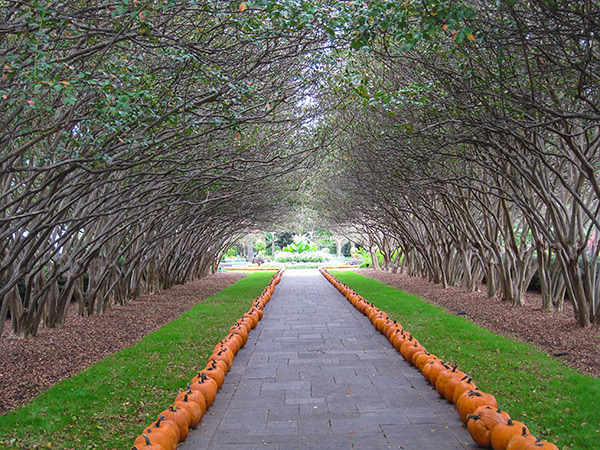 are dogs allowed at the dallas arboretum