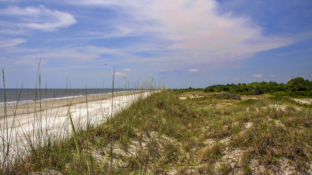 Hog Hammock | The Cultural Landscape Foundation