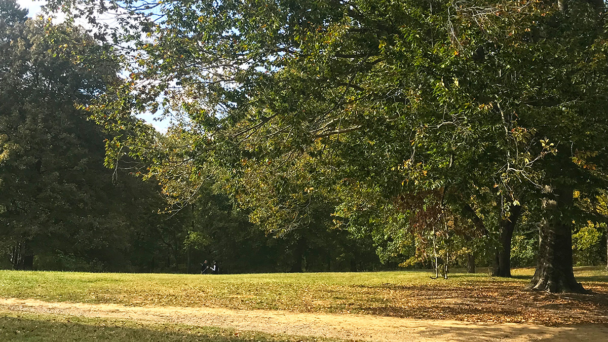 Cherokee Park The Cultural Landscape Foundation