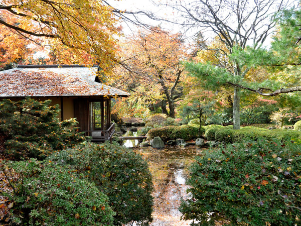 Kykuit Japanese Garden, Sleepy Hollow, NY