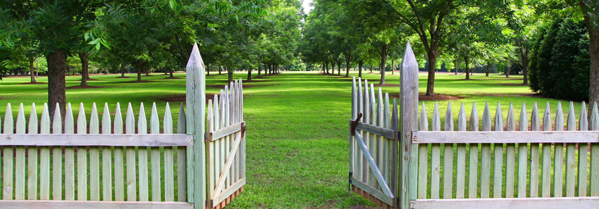 Garden Dialogues 2020 Natchitoches, LA The Cultural Landscape Foundation