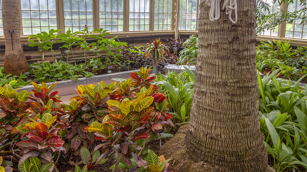 The Howard Peters Rawlings Conservatory And Botanic Gardens The