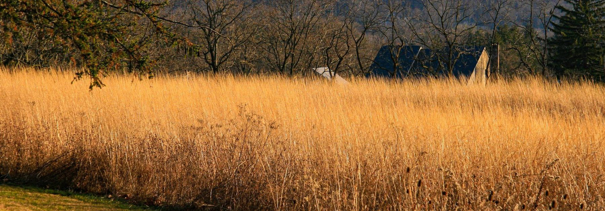 NDAL_EcologyBasedLandscapes_2021_001_Hero_001.jpg NDAL_EcologyBasedLandscapes_2021_001_Hero_001.jpg