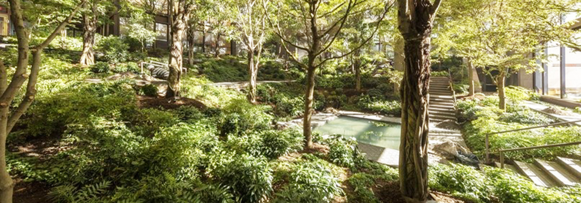 NY_NewYorkCity_FordFoundationBuilding_The10,000-square-footRevampedGardenAtTheBaseOfAToweringAtriumcourtesySimonLuethiFordFoundation_2018_002_Hero.jpg NY_NewYorkCity_FordFoundationBuilding_The10,000-square-footRevampedGardenAtTheBaseOfAToweringAtriumcourtesySimonLuethiFordFoundation_2018_002_Hero.jpg
