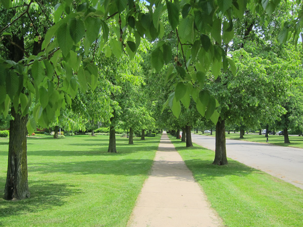 Buffalo Park And Parkway System | The Cultural Landscape Foundation