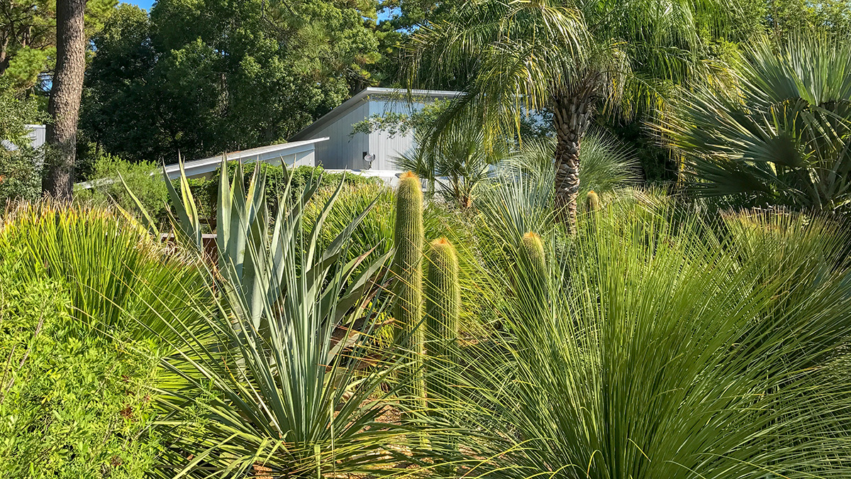 Peckerwood Garden, Hempstead, TX