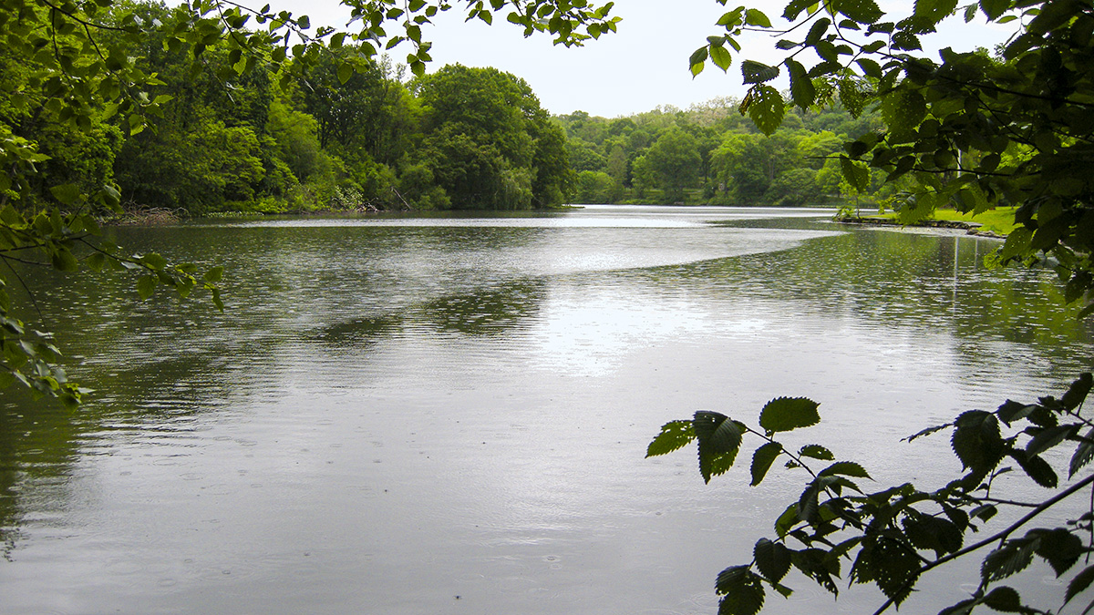 Van Cortlandt Park is a 1,146-acre park located in the borough of the Bronx  in New York City. Owned by the New York City Department of Parks and Recre  Stock Photo 