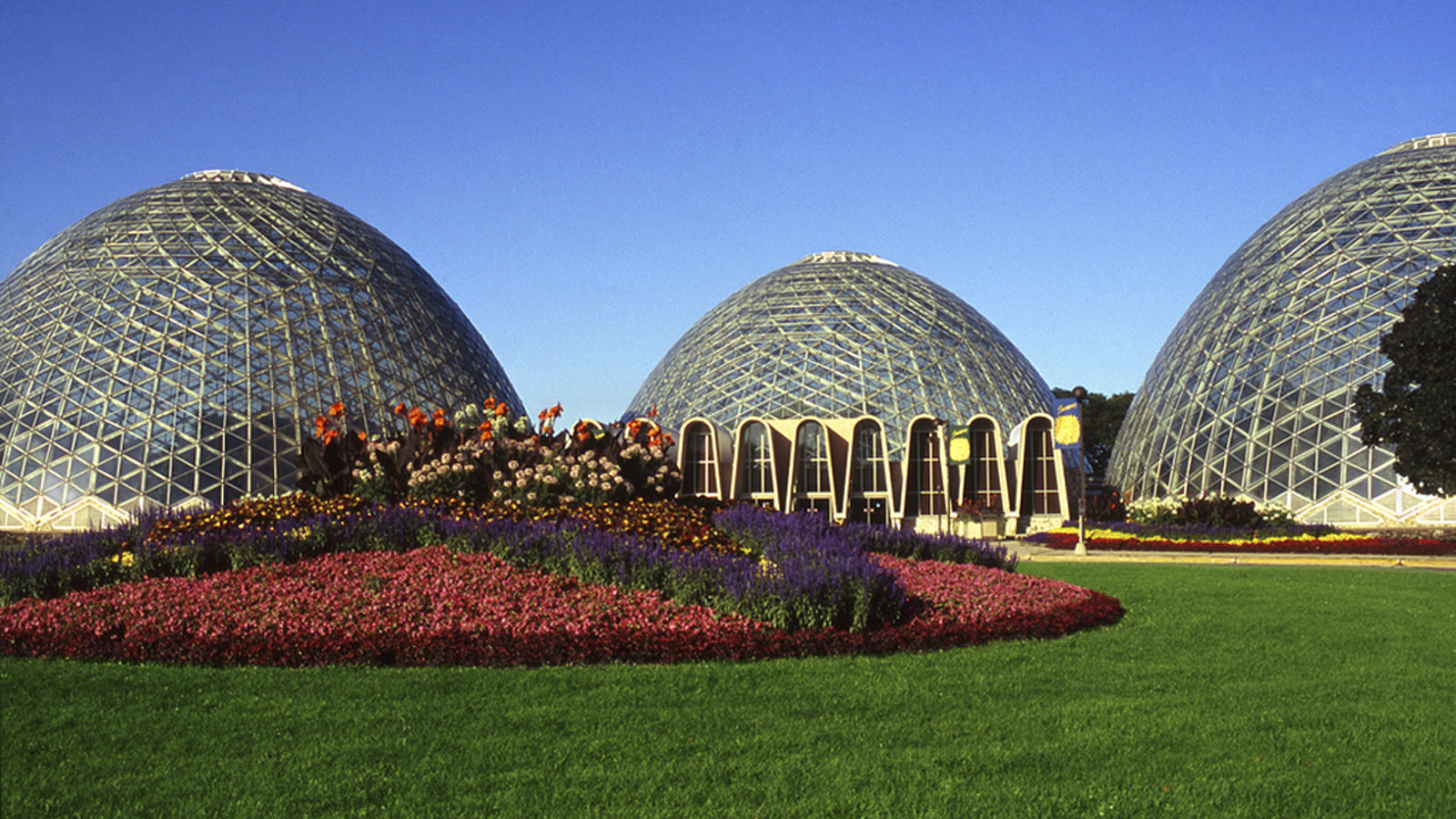 Domes Receive Funding as Political Battle Continues | The ...