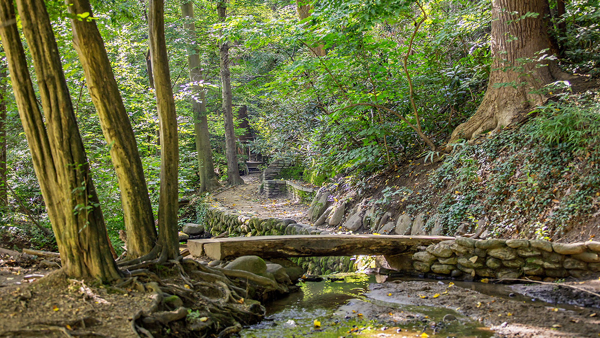 Dumbarton Oaks Park | The Cultural Landscape Foundation